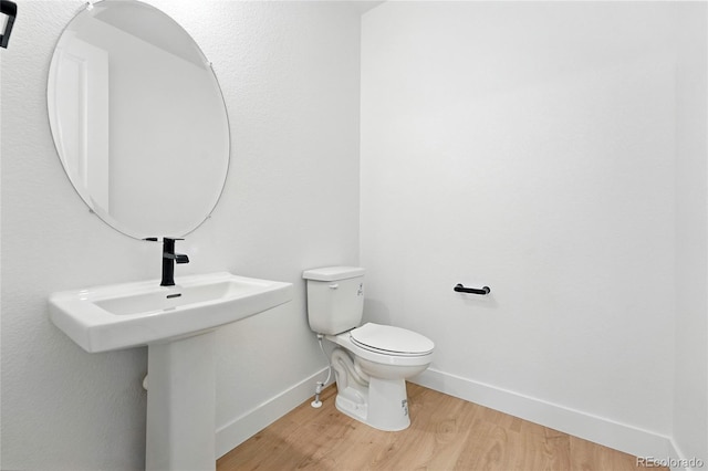 1733 Fox Trotter Pt, Castle Rock, CO 80104 - photo 12