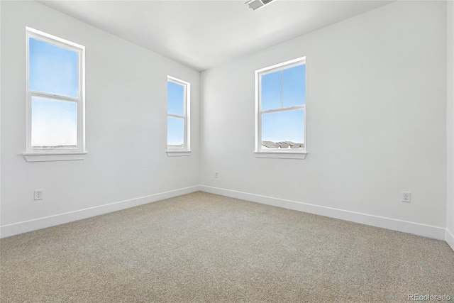 1733 Fox Trotter Pt, Castle Rock, CO 80104 - photo 18