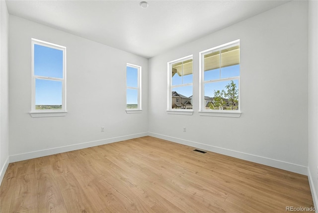 1733 Fox Trotter Pt, Castle Rock, CO 80104 - photo 11