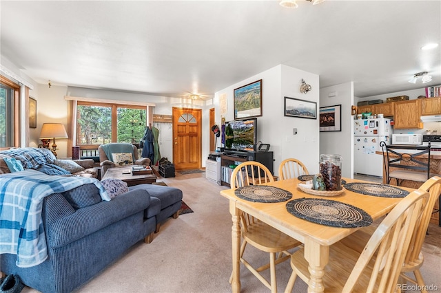 living room featuring light carpet