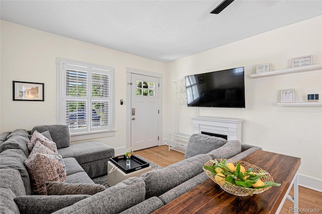 living room with light wood-type flooring and ceiling fan