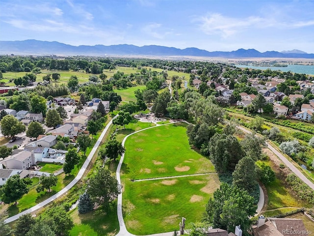 10426 W 84th Pl, Arvada, CO 80005 - photo 40