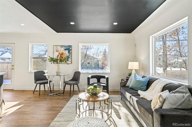 living room featuring plenty of natural light and light hardwood / wood-style floors