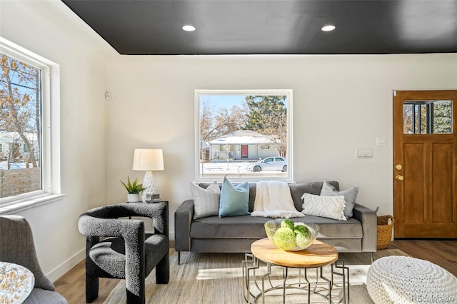 living room featuring light hardwood / wood-style flooring