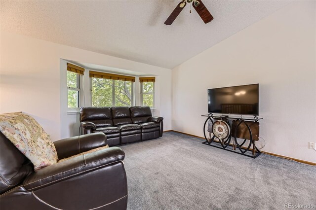 5713 Whitechapel St, Castle Rock, CO 80104 - photo 5