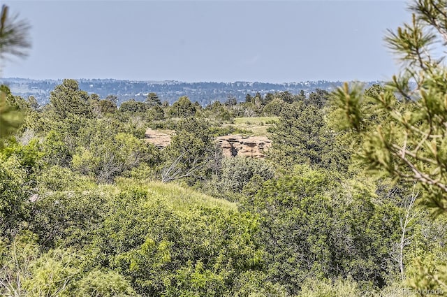 5713 Whitechapel St, Castle Rock, CO 80104 - photo 26