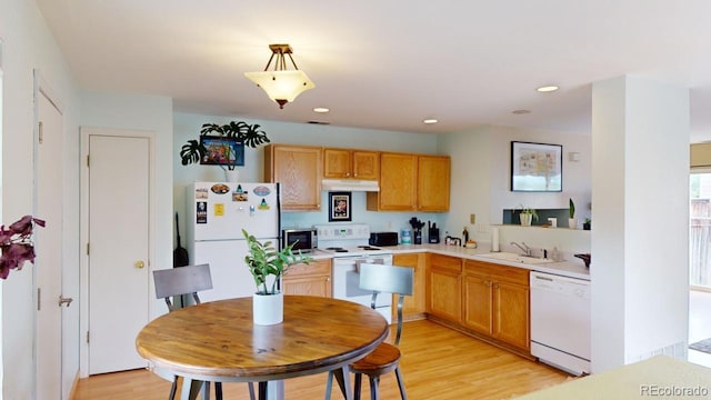 kitchen with sink, hanging light fixtures, light hardwood / wood-style floors, and white appliances