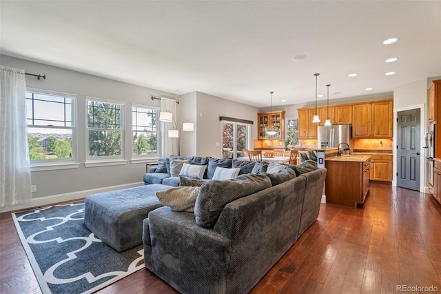 living room featuring dark hardwood / wood-style floors and sink