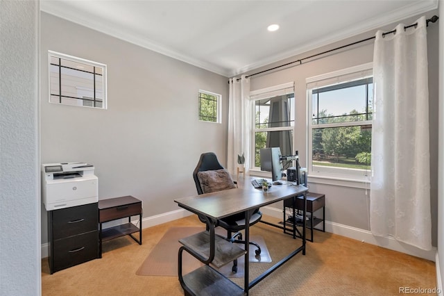 office with crown molding and light carpet