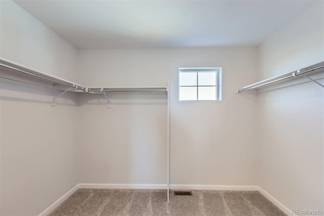 spacious closet with carpet