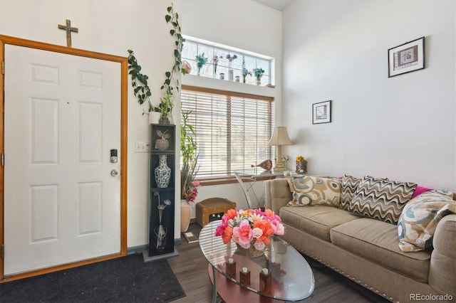 living room featuring dark hardwood / wood-style floors