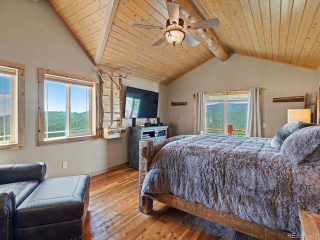 224 Six Elk Ct, Red Feather Lakes, CO 80545 - photo 26