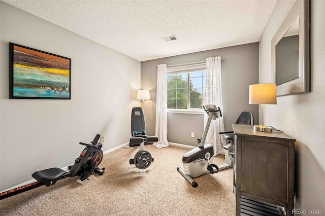 2476 S Gibralter Way, Aurora, CO 80013 - workout area featuring carpet floors and a textured ceiling