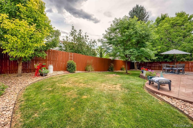 2476 S Gibralter Way, Aurora, CO 80013 - fenced backyard with a patio area