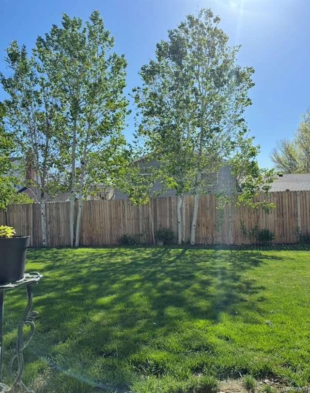2424 S Elkhart St, Aurora, CO 80014 - photo 22