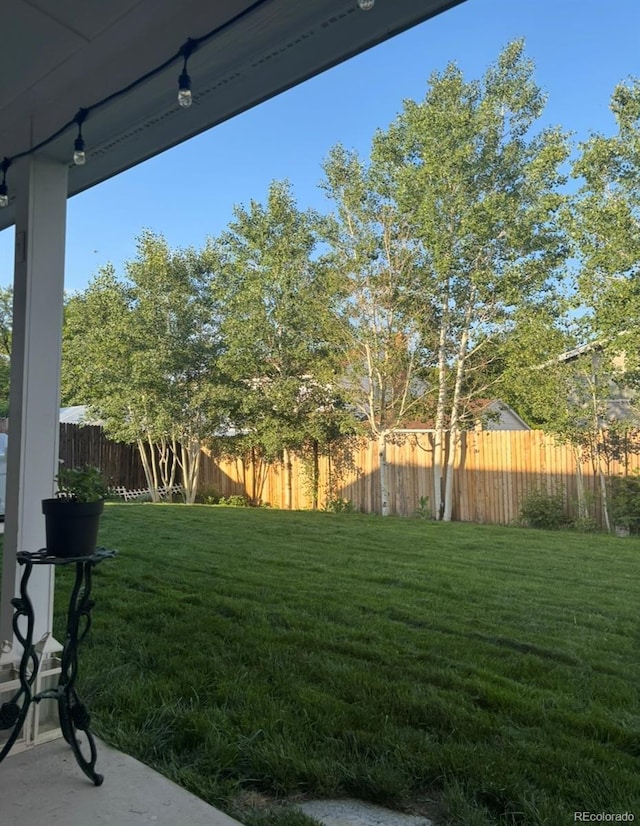 2424 S Elkhart St, Aurora, CO 80014 - photo 24