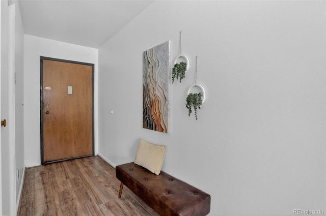 31270 John Wallace Rd Unit 302, Evergreen, CO 80439 - entryway featuring wood finished floors and baseboards