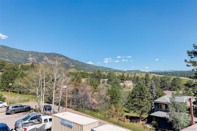 31270 John Wallace Rd Unit 302, Evergreen, CO 80439 - view of mountain background