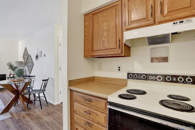 31270 John Wallace Rd Unit 302, Evergreen, CO 80439 - kitchen with electric range, under cabinet range hood, wood finished floors, and light countertops