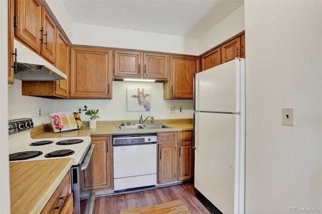 31270 John Wallace Rd Unit 302, Evergreen, CO 80439 - kitchen with white appliances, under cabinet range hood, light countertops, brown cabinetry, and dark wood-style flooring
