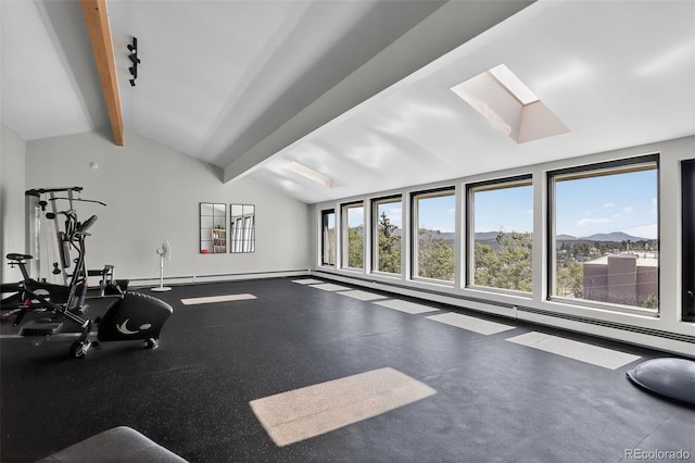 31270 John Wallace Rd Unit 302, Evergreen, CO 80439 - workout room featuring vaulted ceiling and a skylight