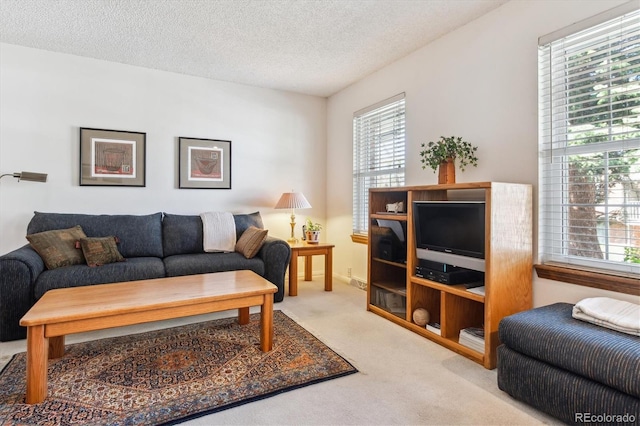 2437 E Geddes Pl, Centennial, CO 80122 - living room featuring carpet floors, plenty of natural light, and a textured ceiling