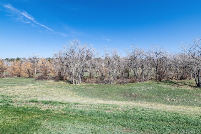 2437 E Geddes Pl, Centennial, CO 80122 - view of green lawn