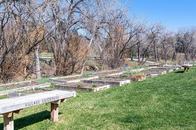 2437 E Geddes Pl, Centennial, CO 80122 - view of grassy yard with a vegetable garden