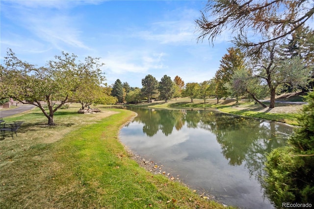 property view of water