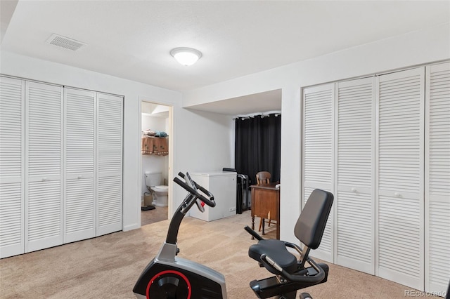 4929 Witches Hollow Ln, Colorado Springs, CO 80911 - workout area with carpet