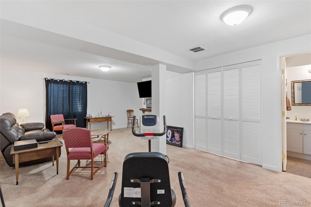 4929 Witches Hollow Ln, Colorado Springs, CO 80911 - workout area with light colored carpet and a sink