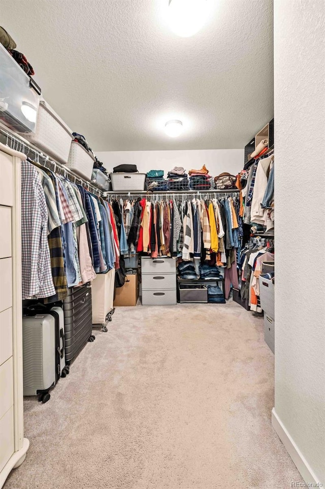 spacious closet featuring carpet