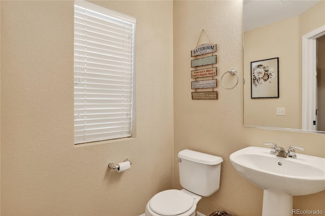 5564 Gibraltar St, Denver, CO 80249 - photo 14