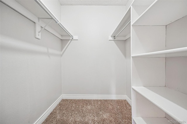 spacious closet with carpet floors