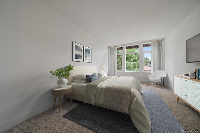 300 Hudson St Unit 203, Denver, CO 80220 - bedroom with carpet flooring and baseboards