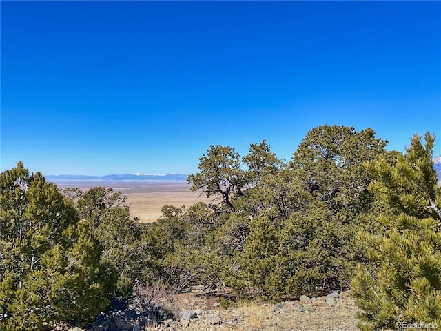 323/325 Cedar Ridge Rd, Mosca CO, 81146 land for sale