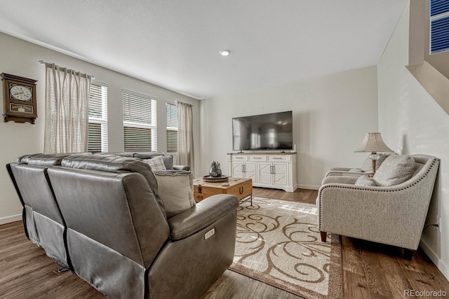 living room featuring hardwood / wood-style flooring