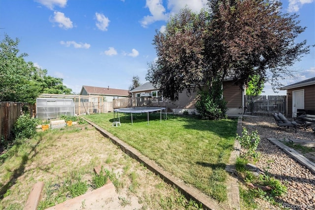 1115 Cherry Ct, Fort Lupton, CO 80621 - fenced backyard with an exterior structure, a trampoline, and an outdoor structure