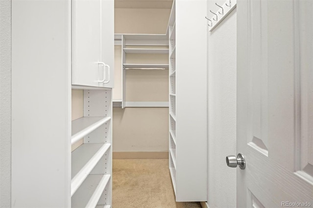 spacious closet featuring light carpet