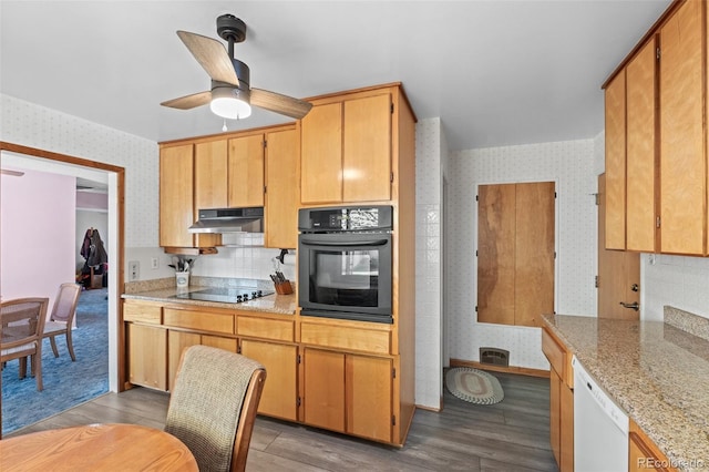 kitchen with light stone counters, ceiling fan, light hardwood / wood-style flooring, and black appliances