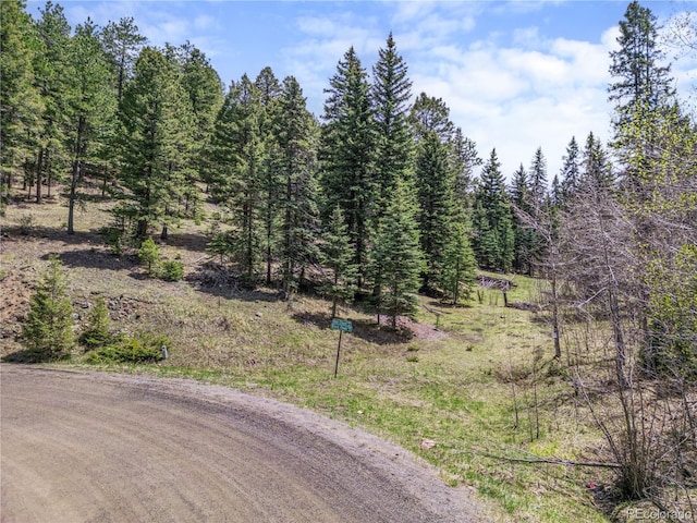 25654 S Black Hawk Trl, Conifer, CO 80433