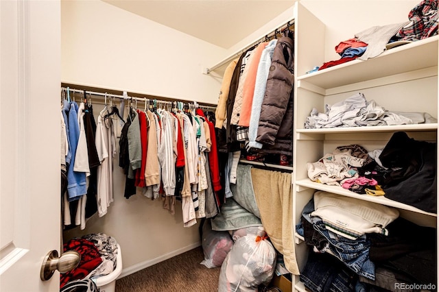 view of walk in closet