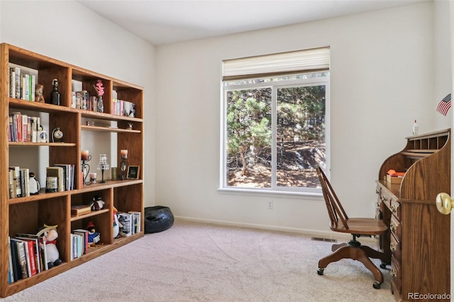 office featuring plenty of natural light, carpet flooring, and baseboards