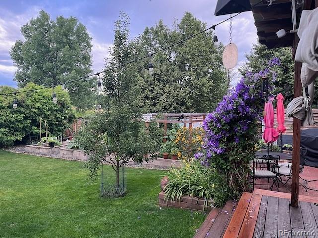 6731 Devinney St, Arvada, CO 80004 - view of yard