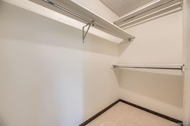 2370 Redwood Ave, Lafayette, CO 80026 - walk in closet with light colored carpet