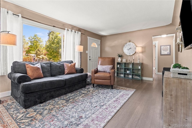 living room with dark wood-type flooring