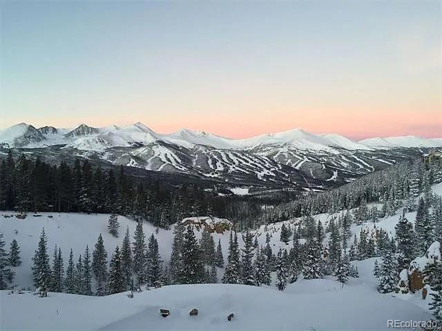 59 Club House Road 1/2Quarter Share D, Breckenridge, CO 80424 - view of mountain background