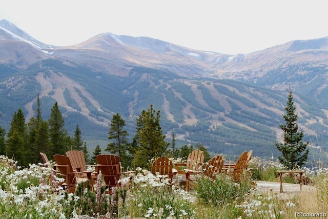 59 Club House Road 1/2Quarter Share D, Breckenridge, CO 80424 - view of mountain backdrop
