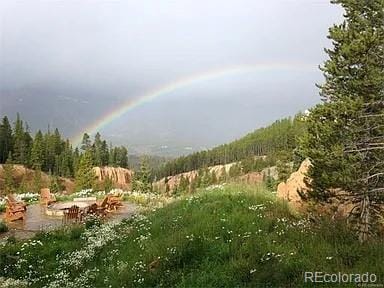 59 Club House Road 1/2Quarter Share D, Breckenridge, CO 80424 - view of mountain background