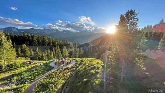 59 Club House Road 1/2Quarter Share D, Breckenridge, CO 80424 - view of mountain backdrop featuring a forest